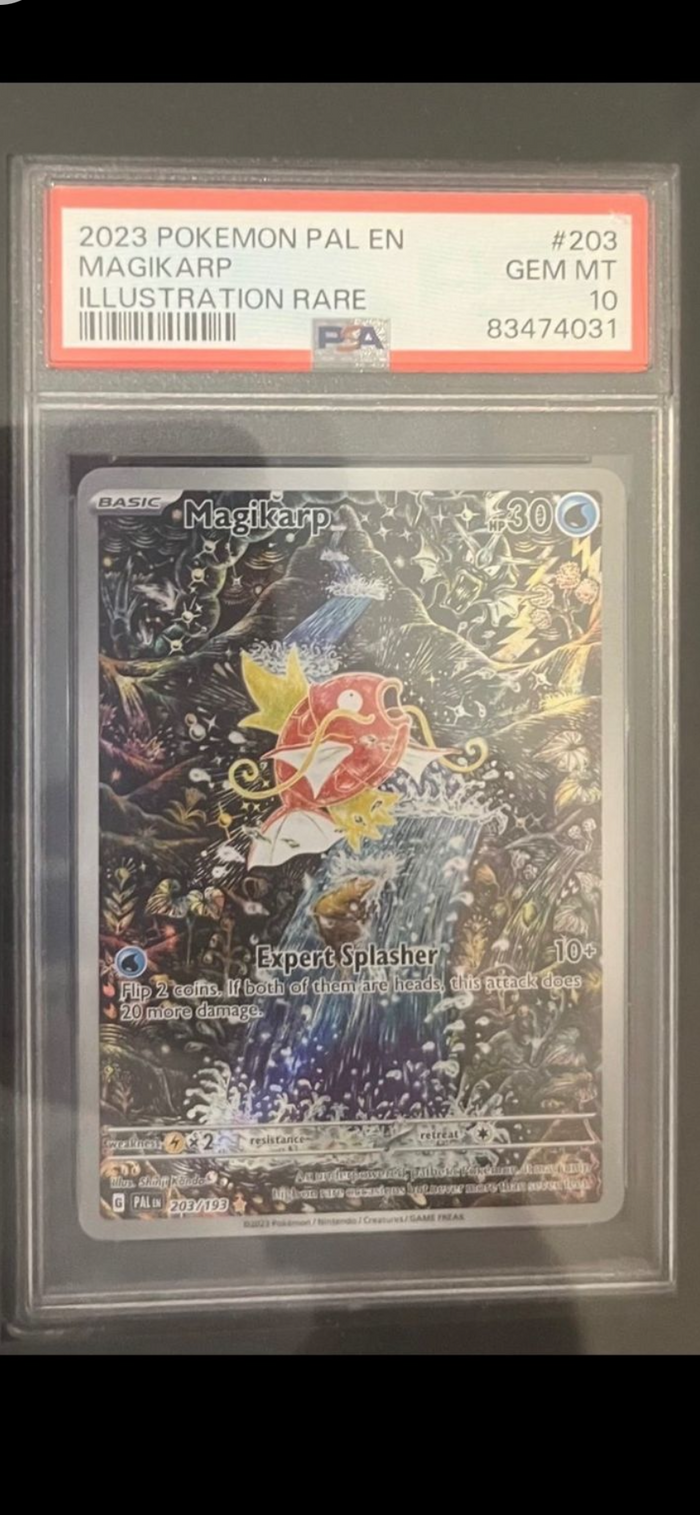 Paldea Evolved - Magikarp PSA 10
